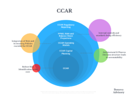 infographic with circles